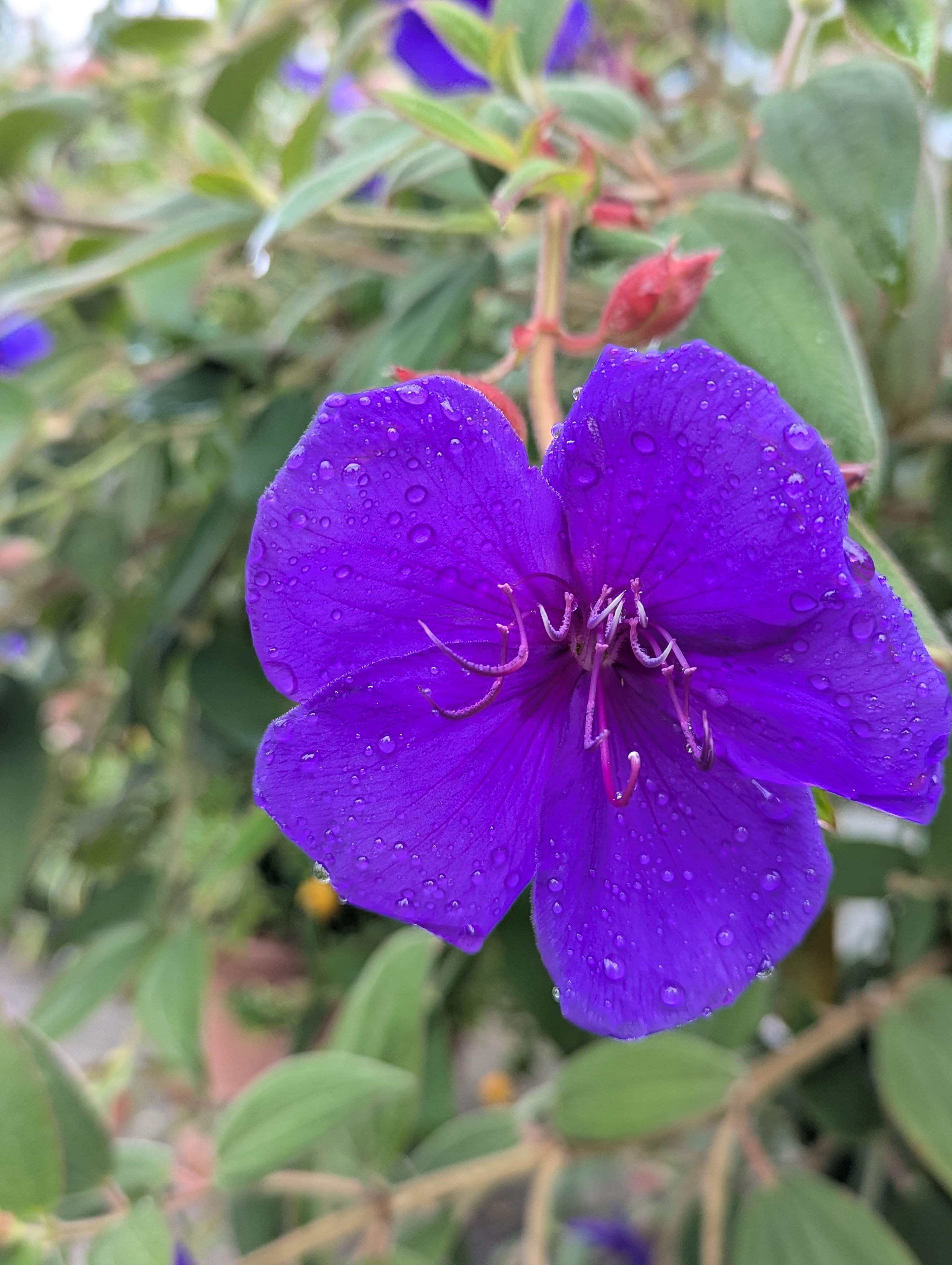 Botonic Gardens, Muenster, Germany